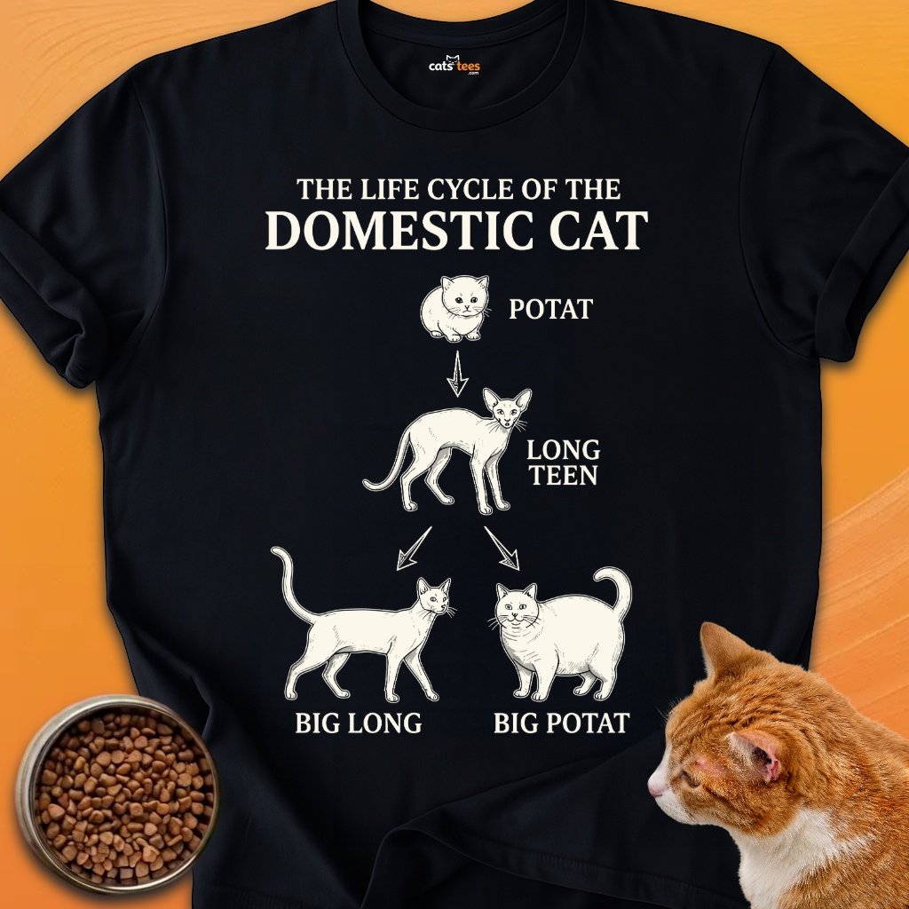 Domestic Cat product image (1)