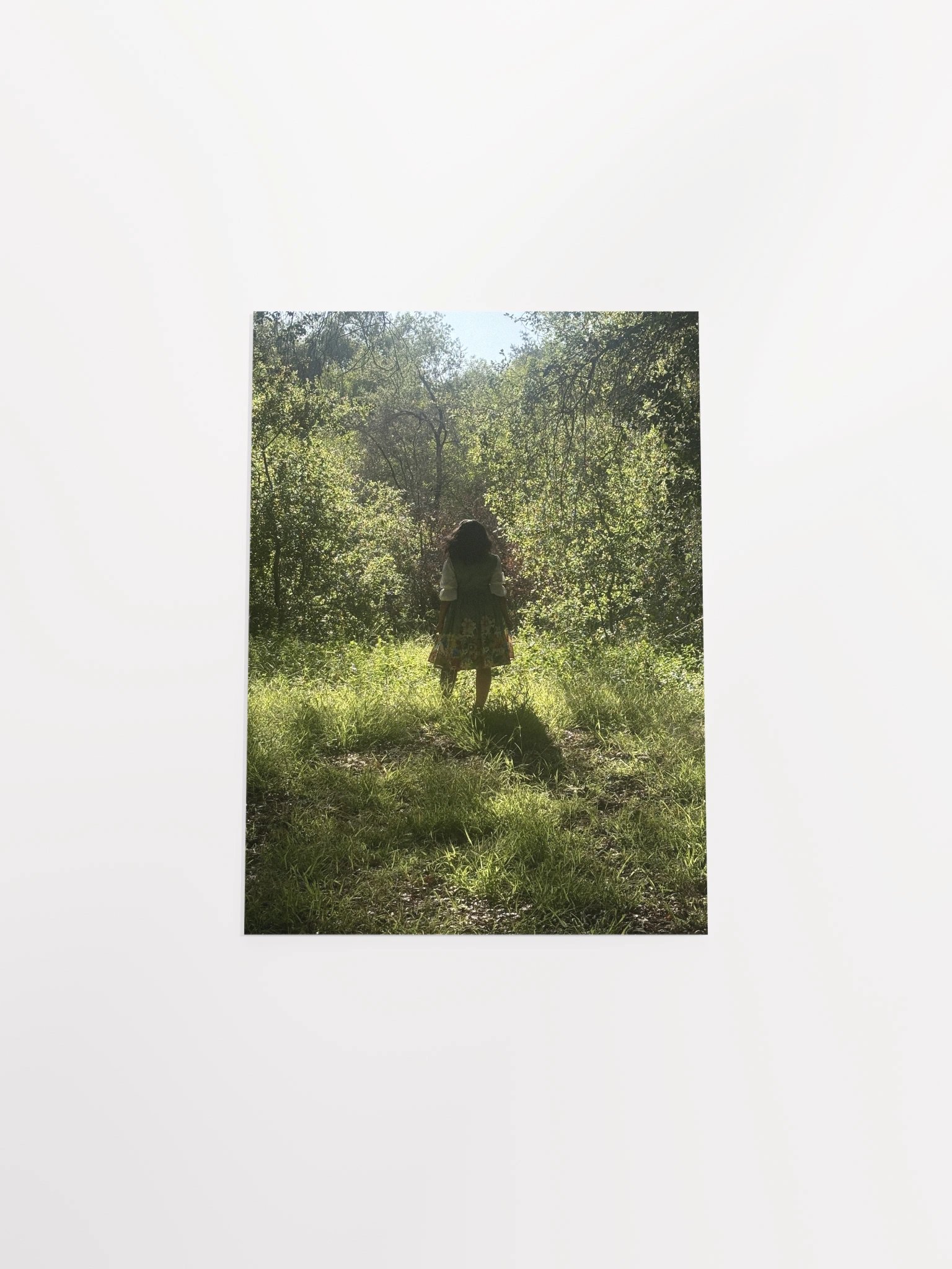 Forest Poster product image (31)