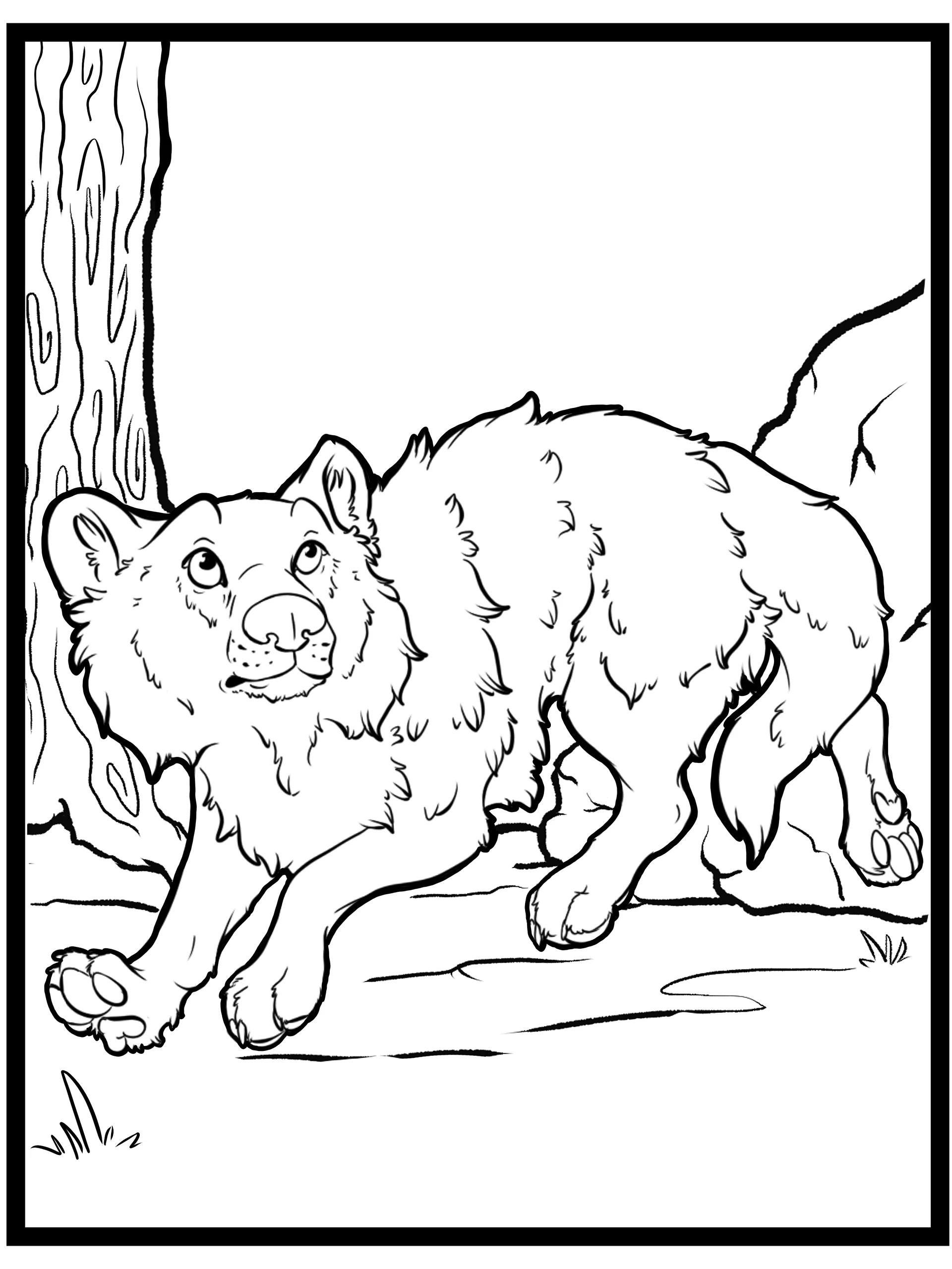 Mexican Grey Wolf - Coloring pages product image (4)