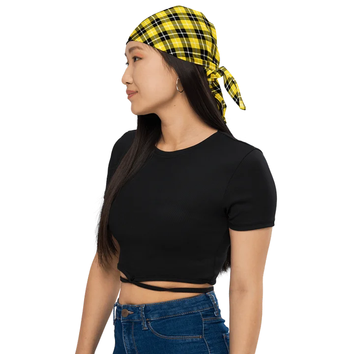 Barclay Tartan Bandana product image (1)