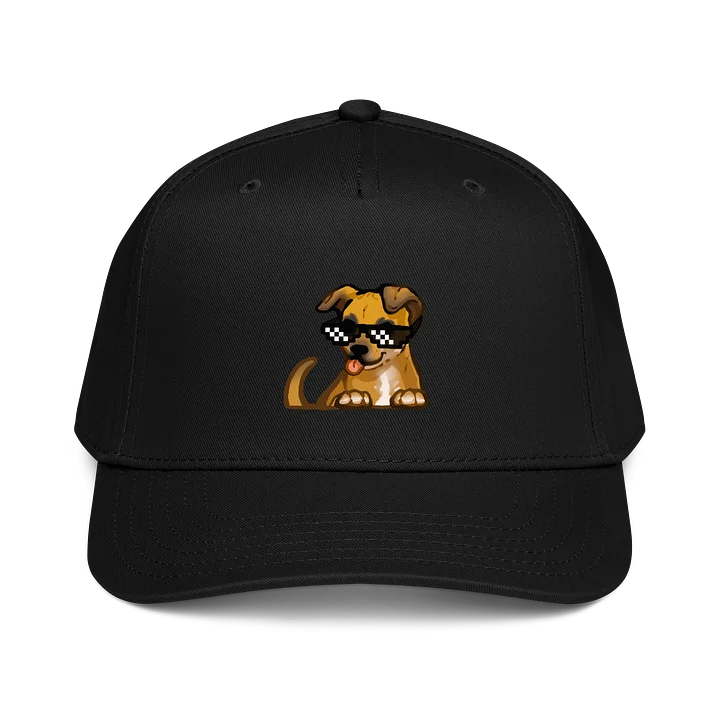 Curry DWI Hat product image (1)