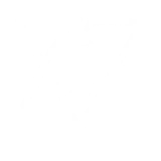 727Skateboarding