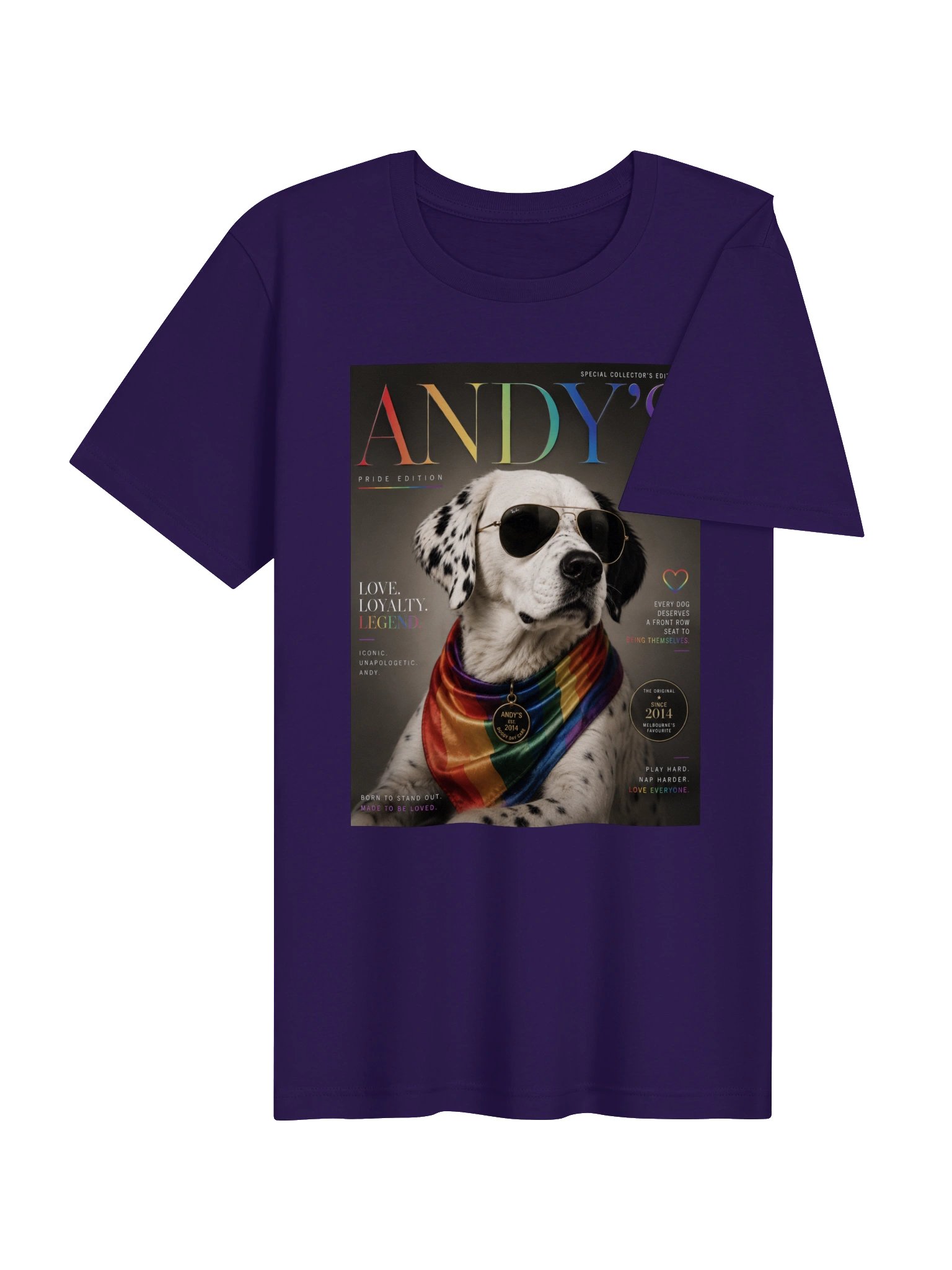 Andy's Pride Edition Tee product image (38)
