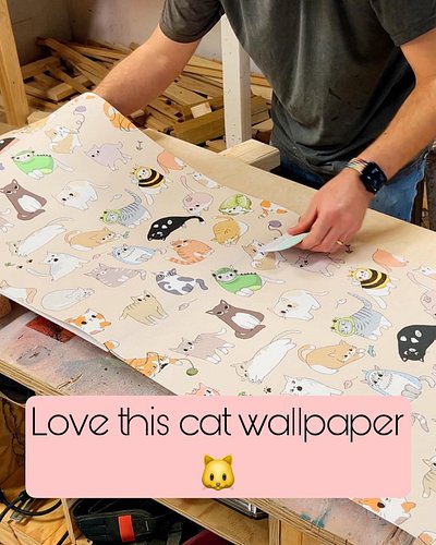 Check out this cute cat wallpaper in my latest YouTube video ▶️ I love how it turned out!