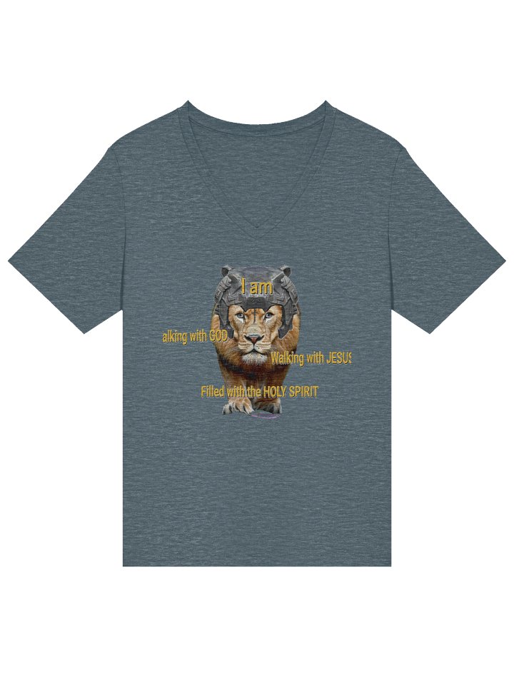 Immovable Ladies Relaxed V-Neck Tee product image (2)