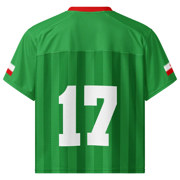Iran Boxy Sports Tee product image (2)
