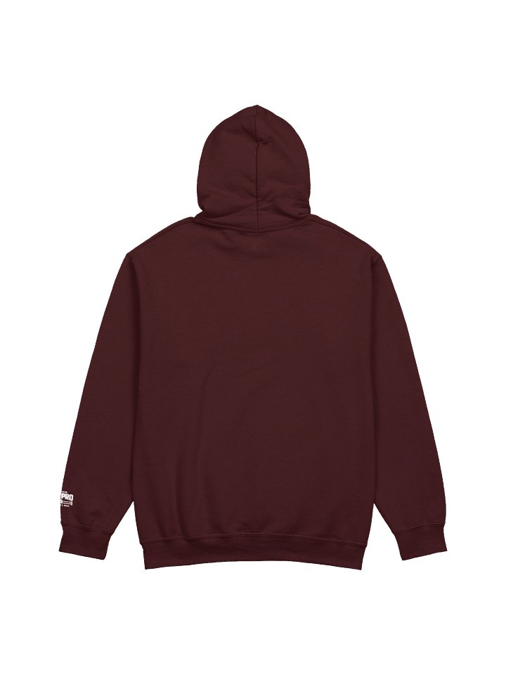 CAPW "Two Flags, One Ring" Hoodie product image (2)