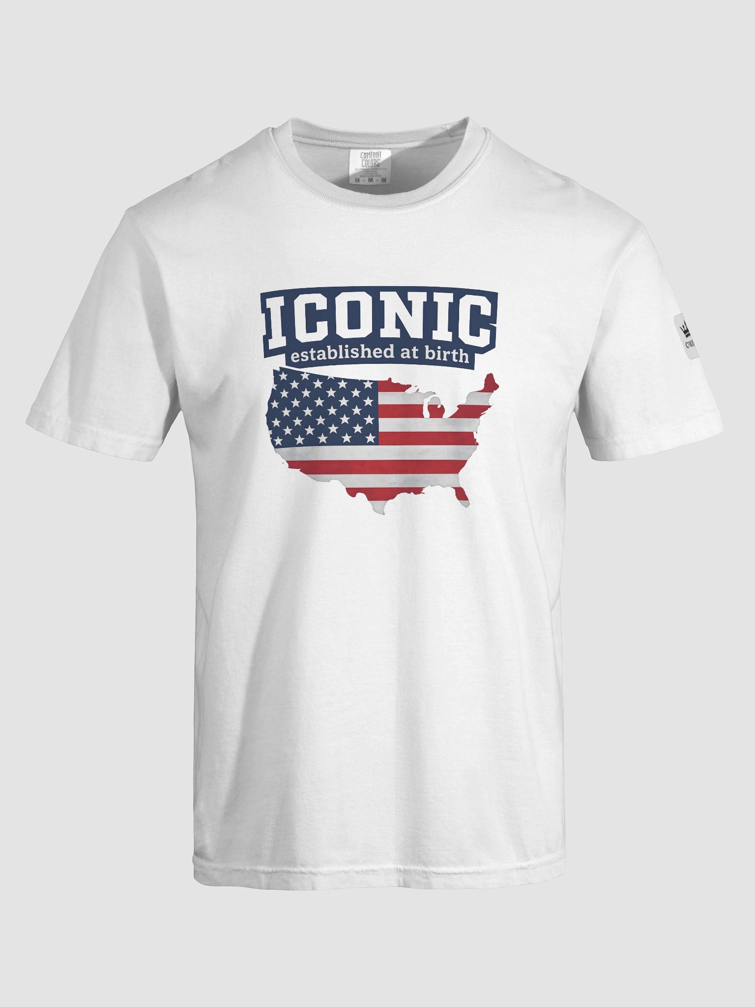 C² ICONIC™ “Established at Birth” Patriotic Graphic T-Shirt product image (5)