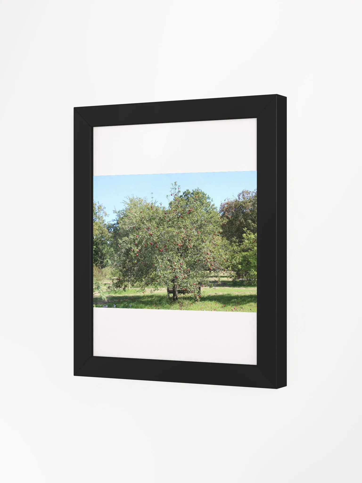 Sunny Orchard Framed Matte Poster product image (11)