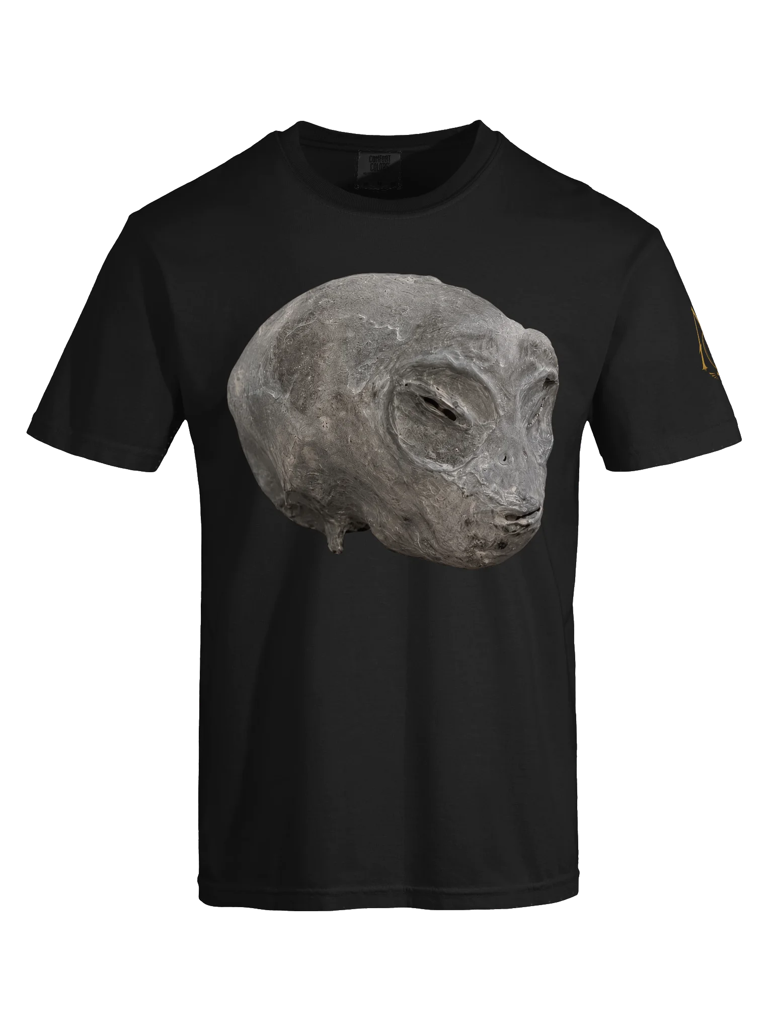 Cleaned Nazca Head Premium T-Shirt product image (5)