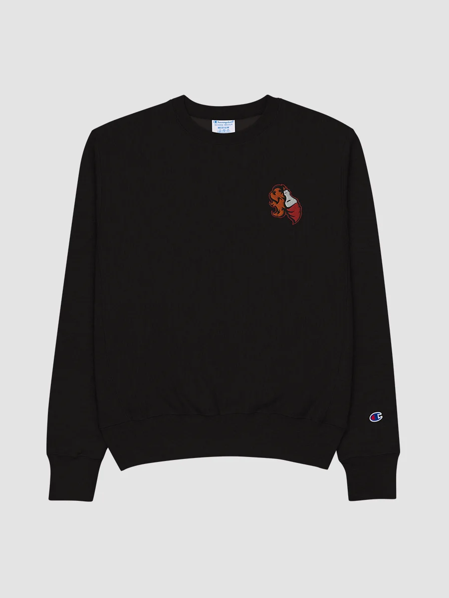 Foundations Molotov Embroidered Champion Sweatshirt product image (1)
