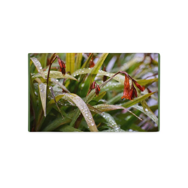 Premium Pillow Case: Höstlilja Raindrops product image (1)
