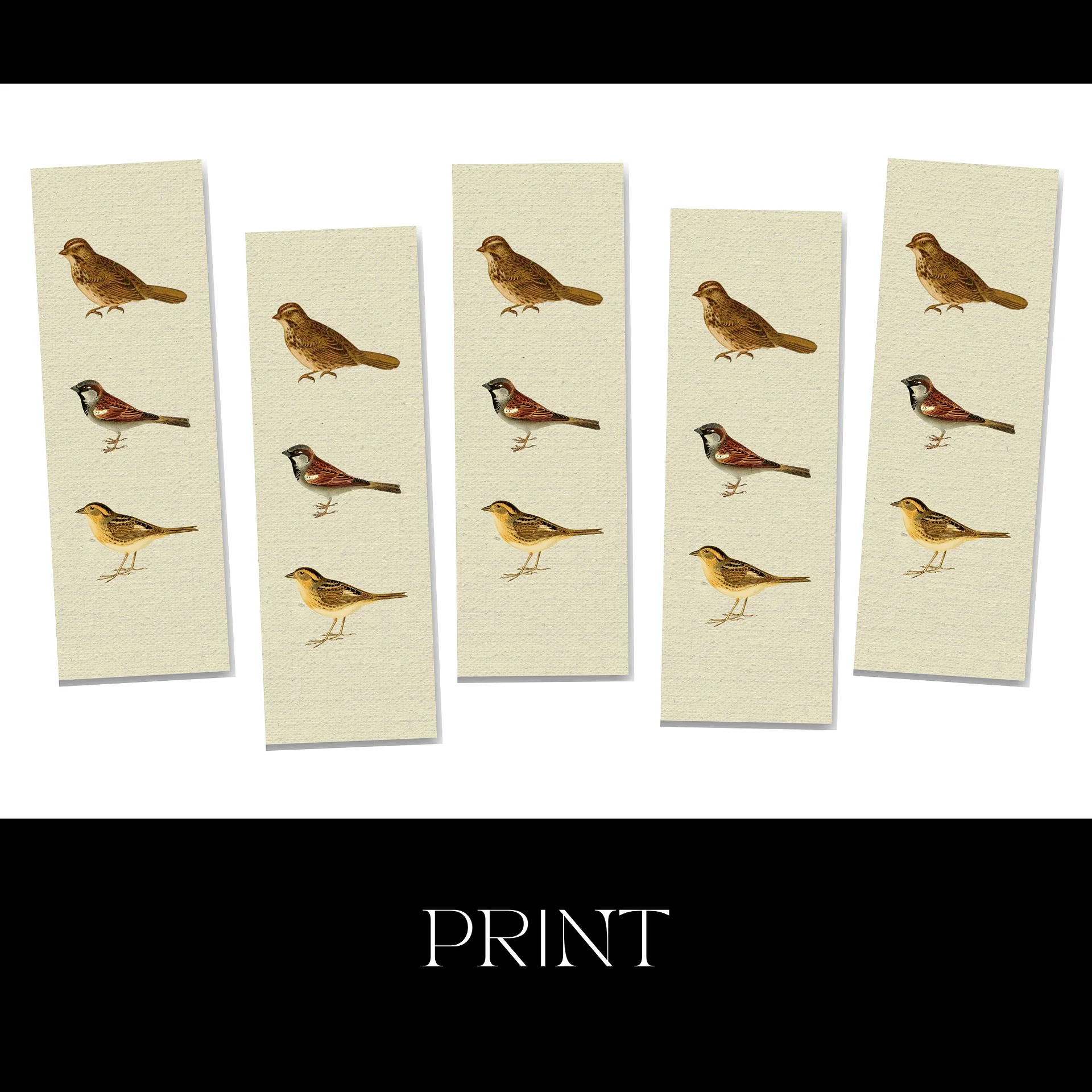 Sparrow Bookmark product image (5)