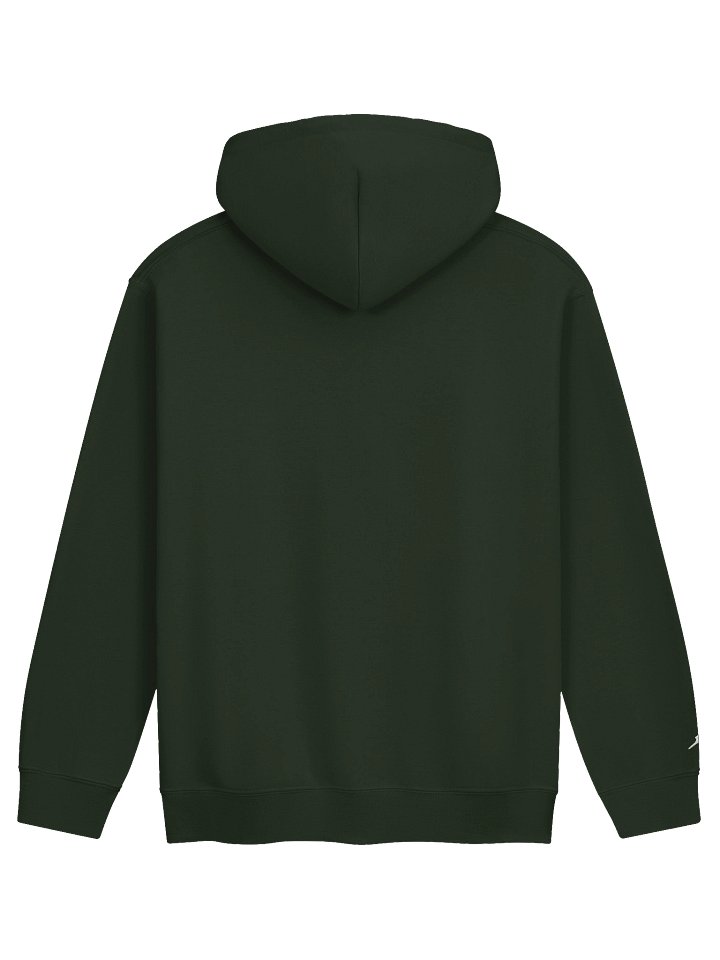 Wealthy & Healthy - Embroidered Hoodie product image (6)