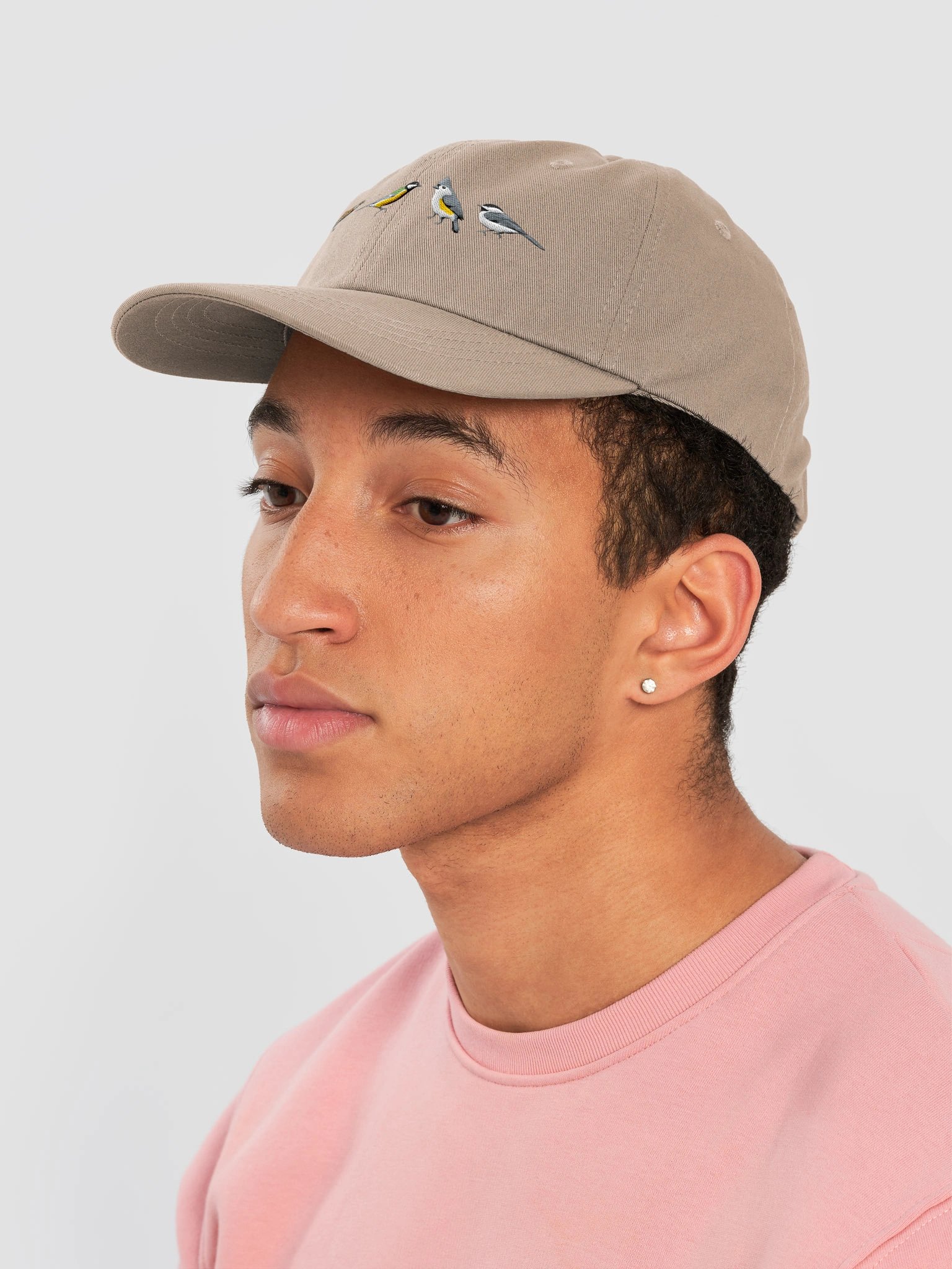 Backyard Birding Embroidered Hat | Carolina Wren, Great Tit, Tufted Titmouse & Chickadee product image (63)