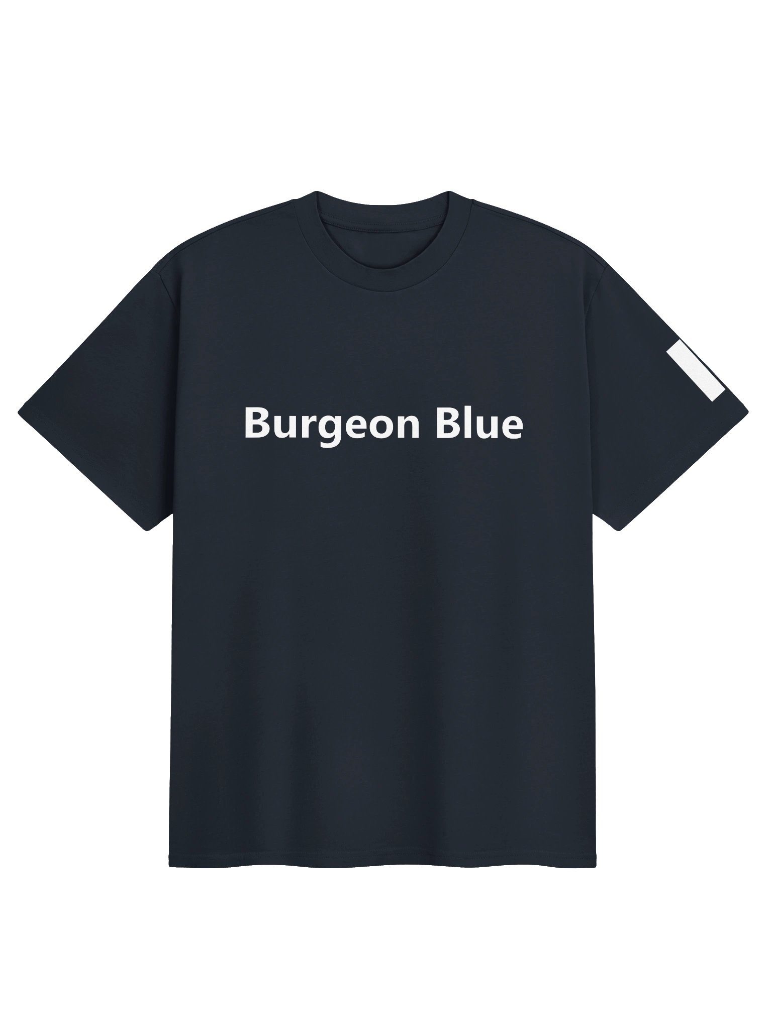 Burgeon Blue - Boxy Organic Tee - Front product image (3)