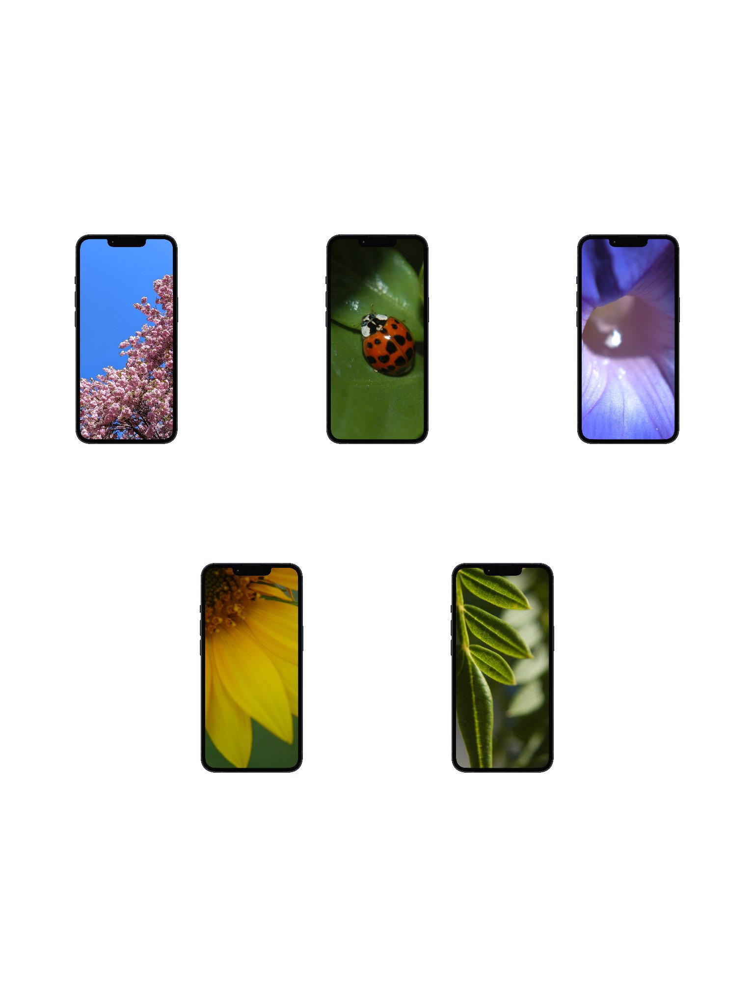 the bramblebright digital wallpaper collection product image (1)
