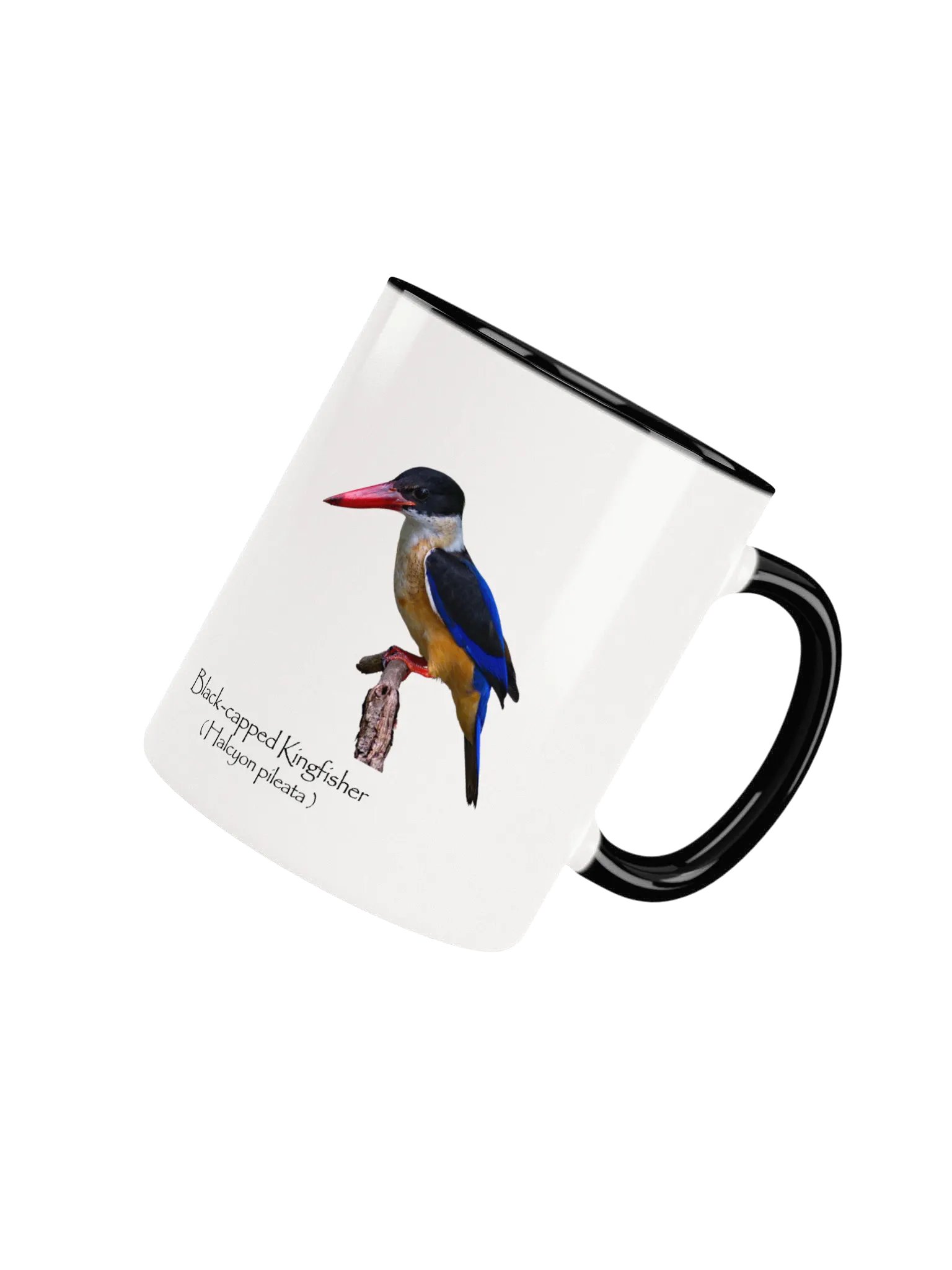 Black-capped Kingfisher mug product image (33)