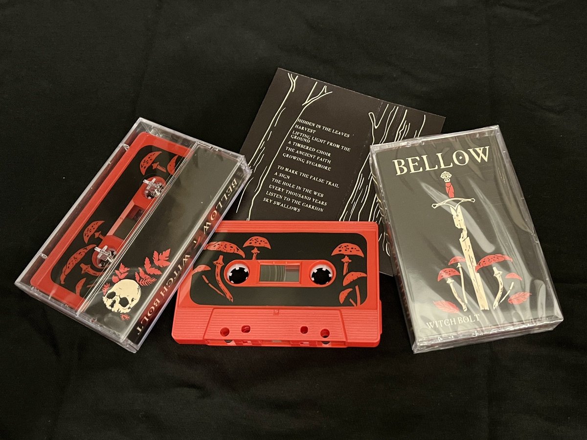 BELLOW CASSETTE product image (3)