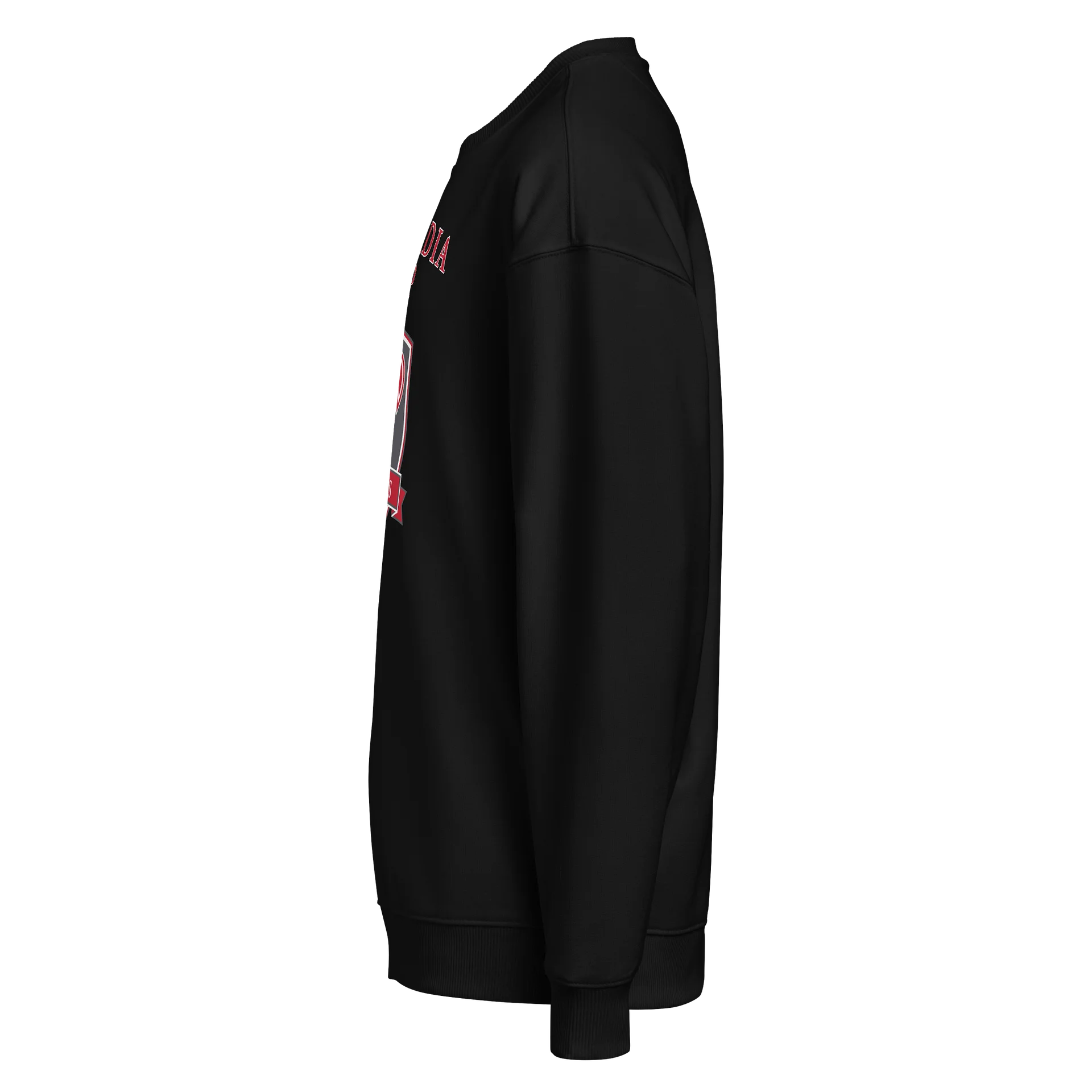 Concordia Prep - Oversized Sweatshirt product image (2)