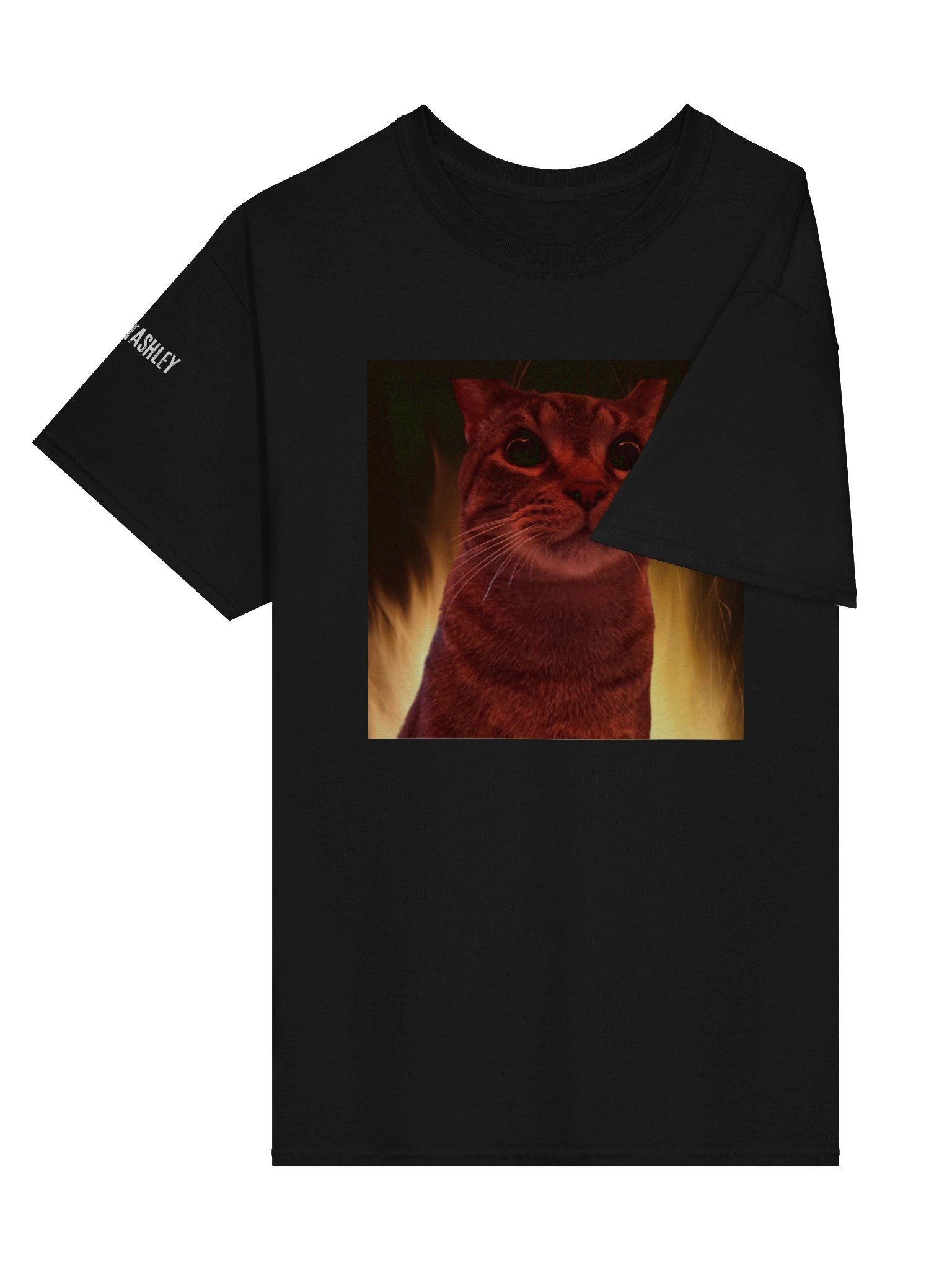 This Is Fine, Luke's Version T-Shirt product image (3)