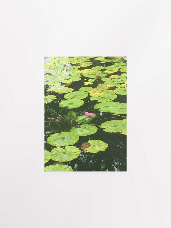 Reflections of Serenity Poster product image (2)