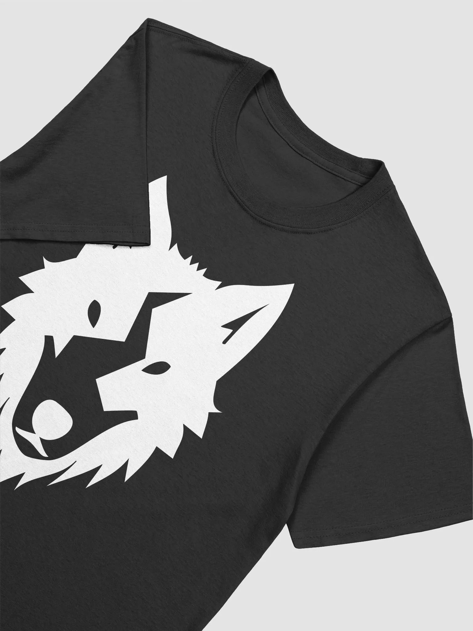 T-Shirt, Big Front First Edition product image (3)