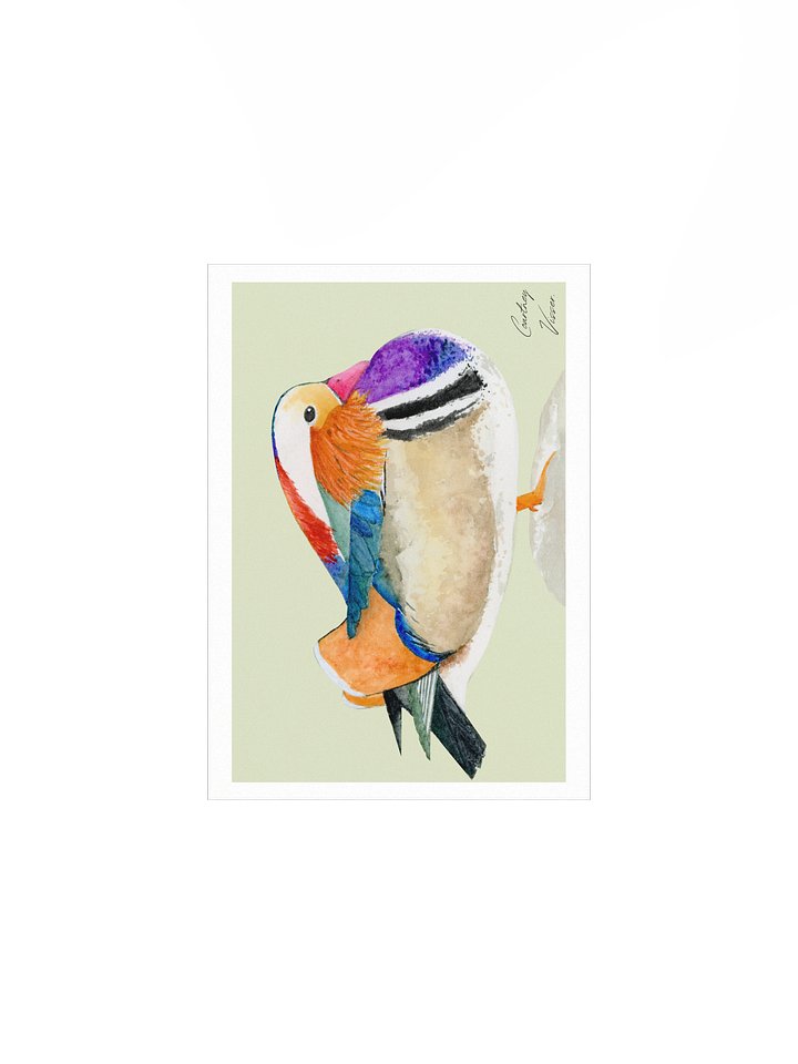Mandarin duck print (light green background) product image (2)