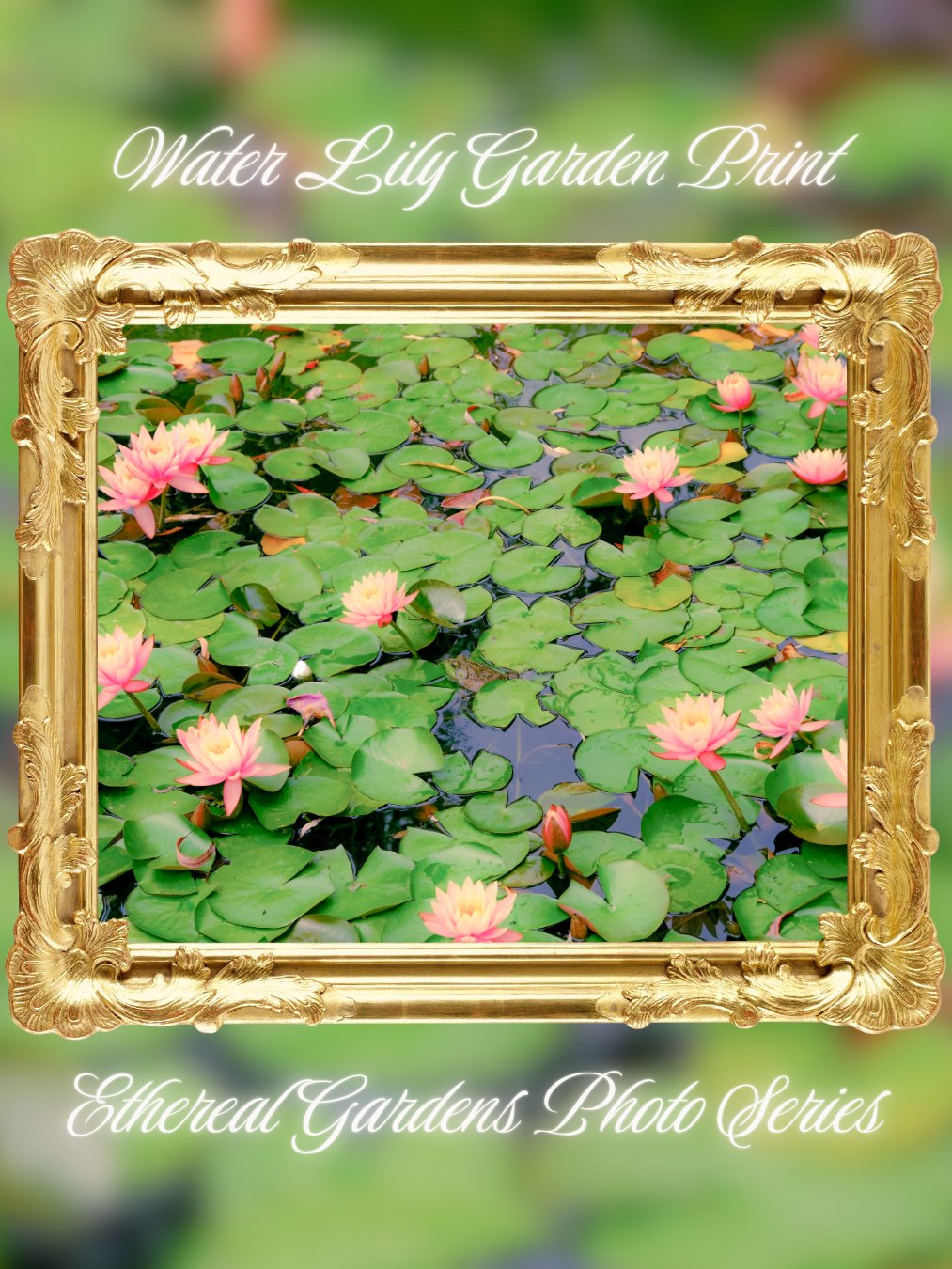 Water Lily Garden Print product image (2)