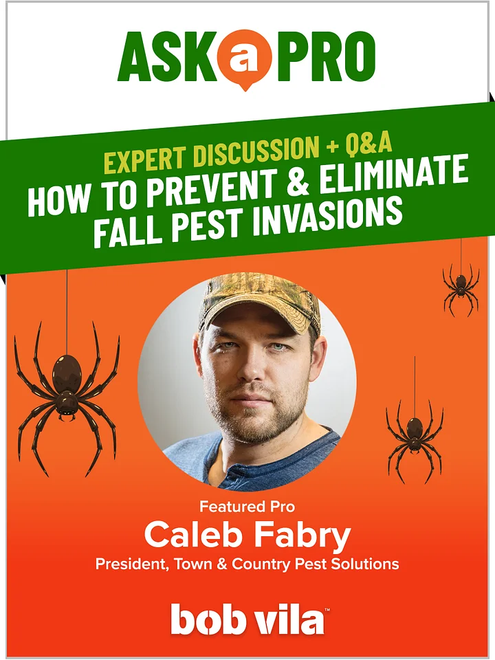 How to Prevent & Eliminate Fall Pest Invasions product image (1)