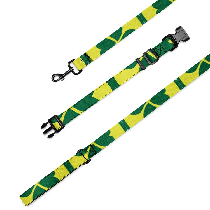 Pet Collar & Leash Set product image (2)