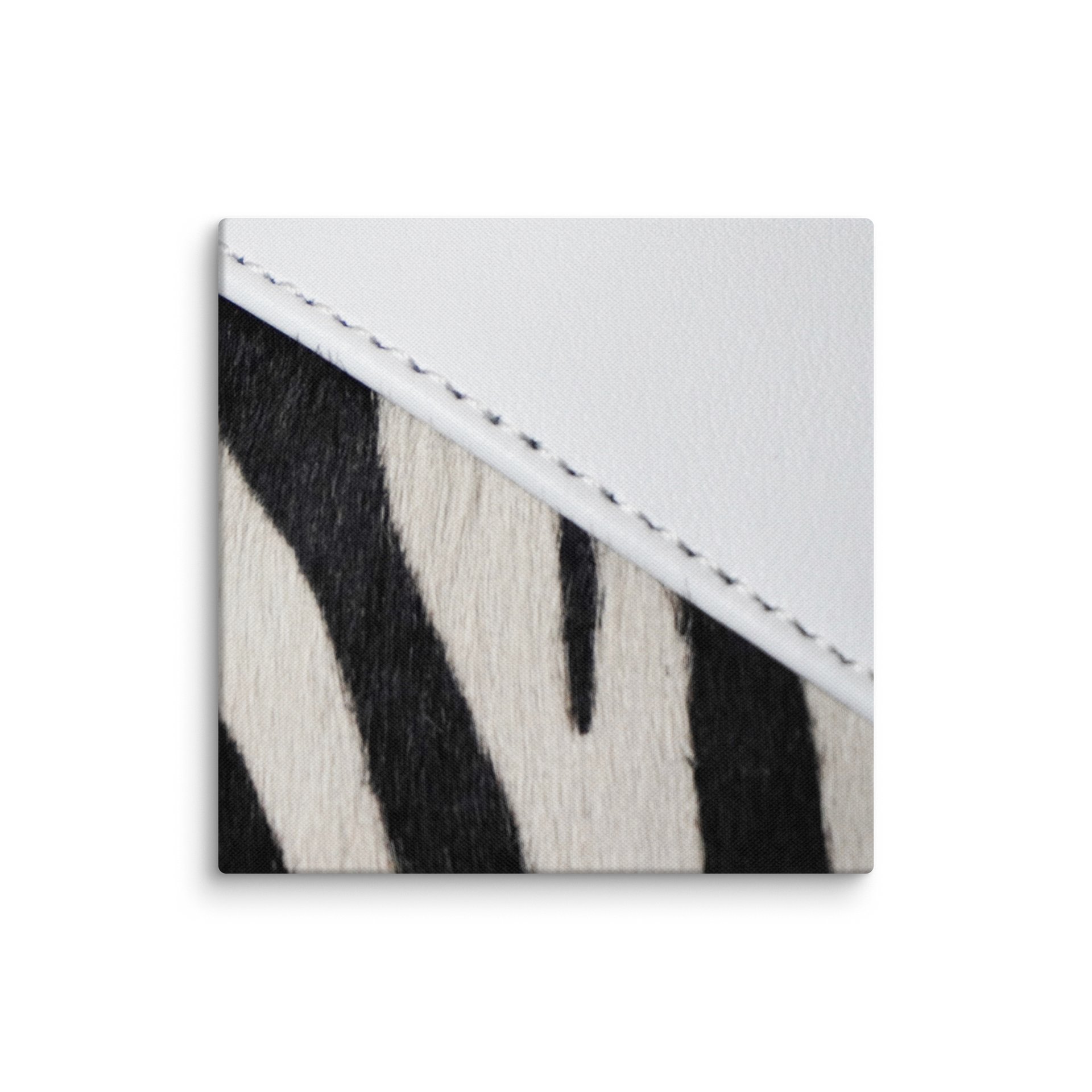 Zebra Chic Canvas Art product image (1)