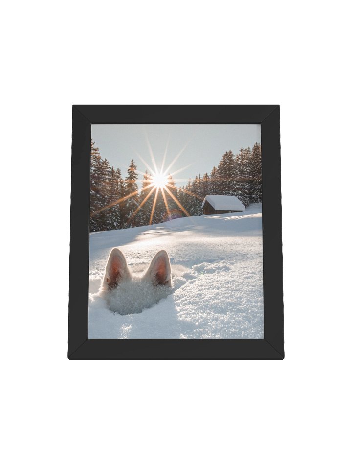 King Rasta in the snow product image (4)