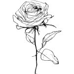 Britt Rose the Artist