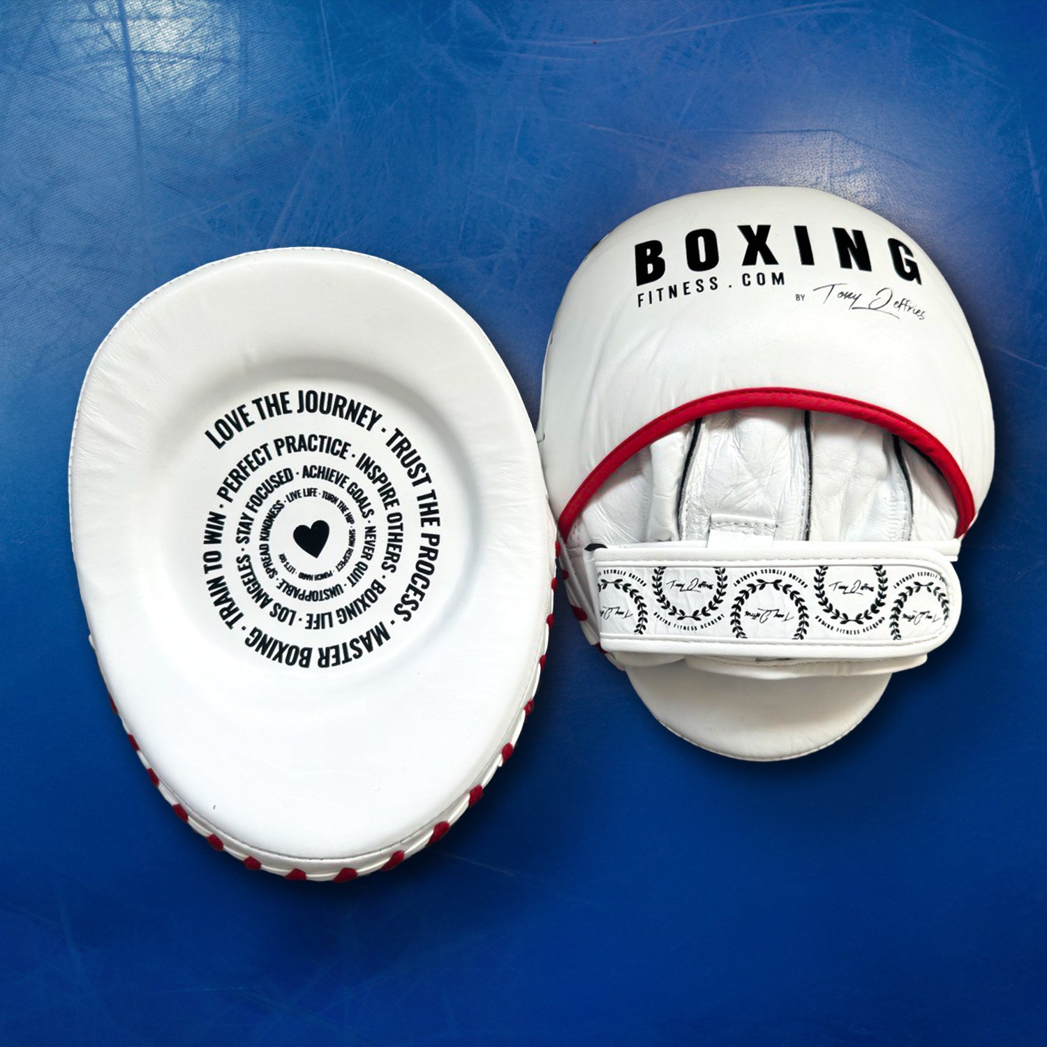 Pro Boxing Mitts 2026 Model+ Wraps & Bag product image (5)