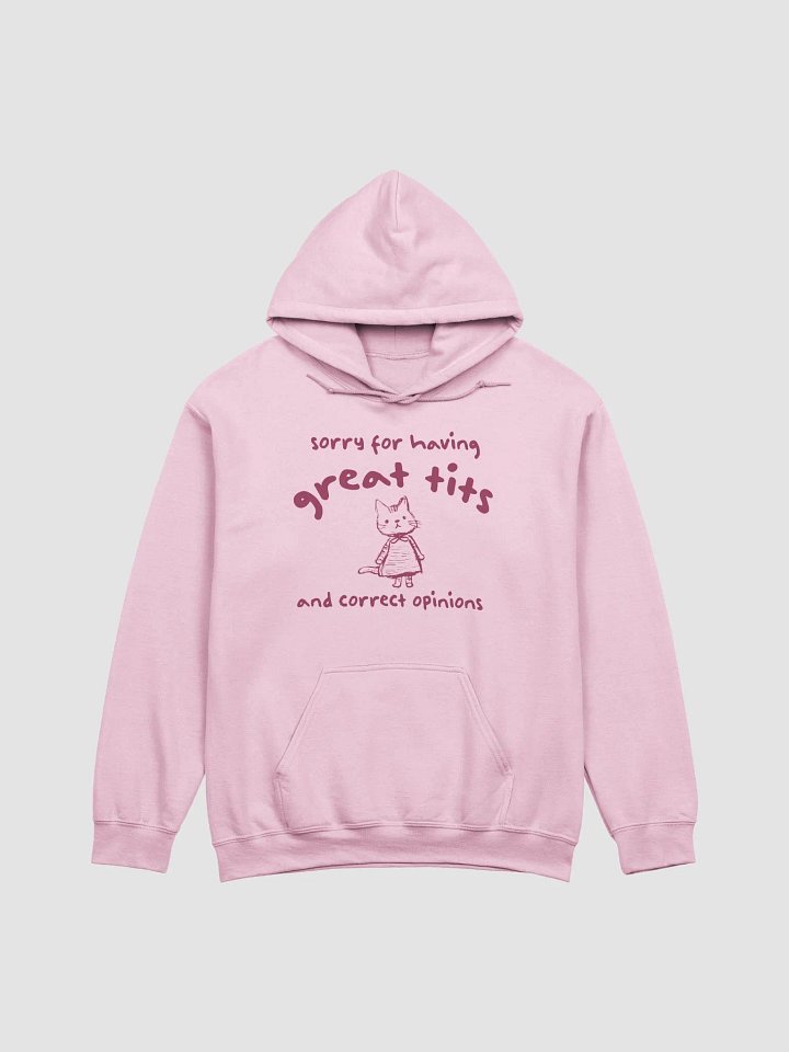 Sorry for having great tits and correct opinions Hoodie product image (1)