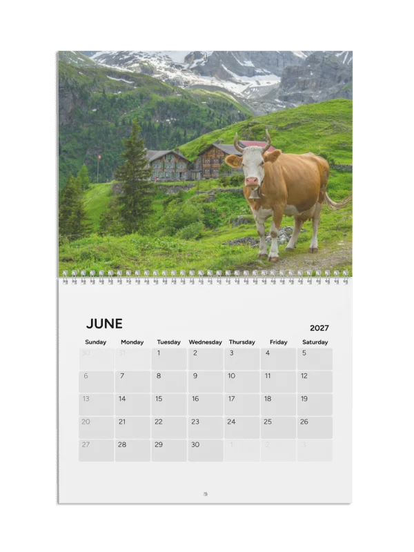 Nature Wonders Switzerland 2027 product image (1)