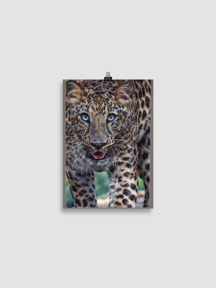 Spotted Gaze ~ Enhanced Matte Paper Poster product image (2)