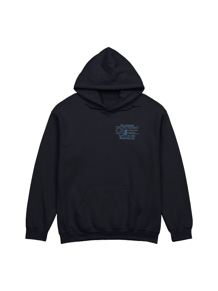 CO3 2026 Hoodie (Pigeon) product image (2)