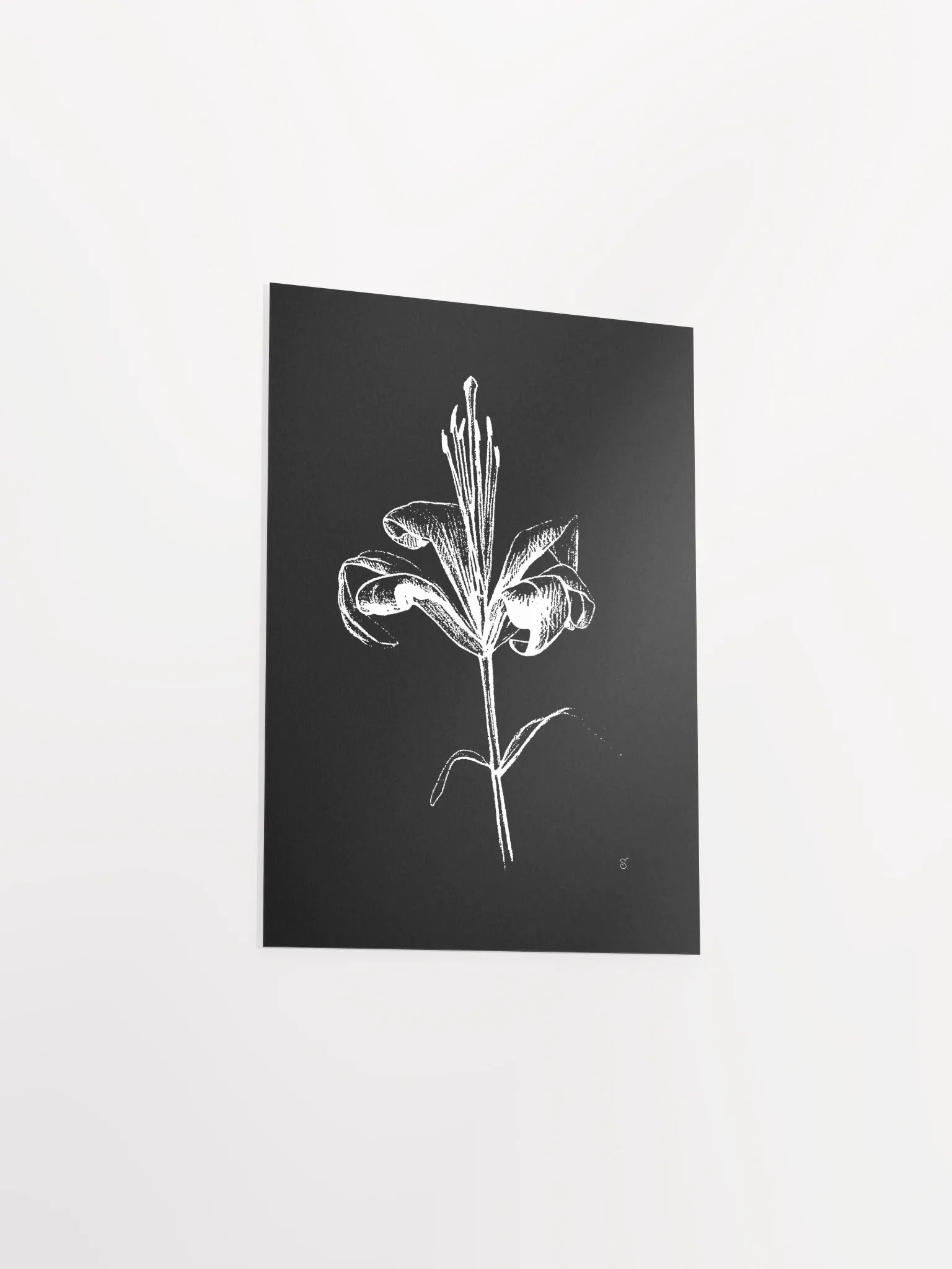 Ethereal Lily Sketch Poster - Fine Flower Dark product image (3)