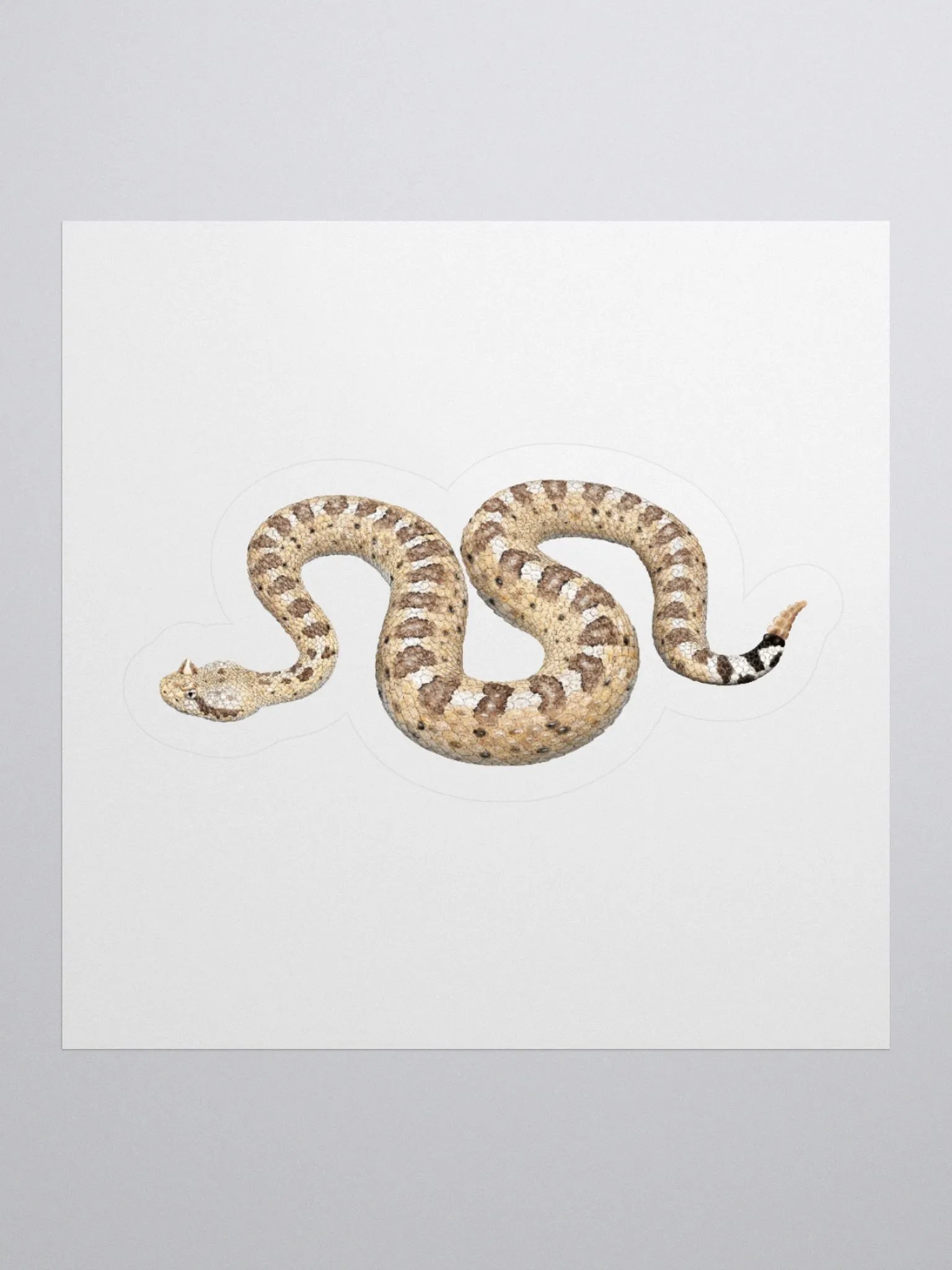 Die-Cut Sticker – Sonoran Sidewinder product image (1)