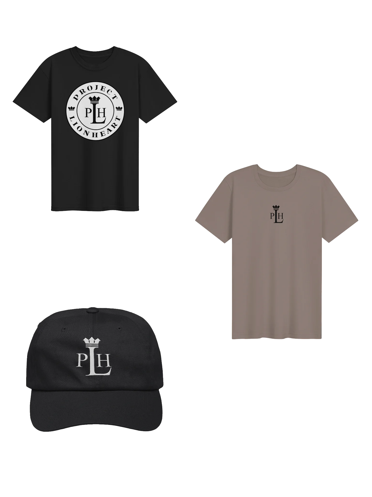 Project Lionheart Bundle product image (1)
