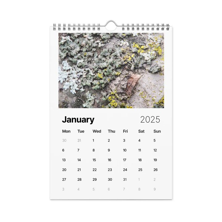 Likin' Lichen 2025 Wall Calendar product image (2)