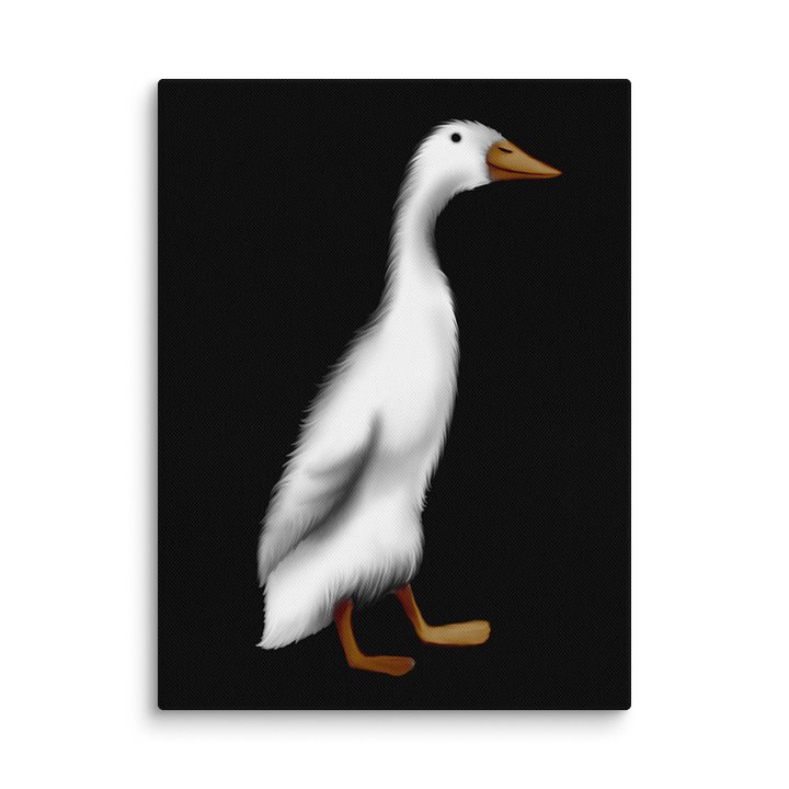Canvas product image (2)