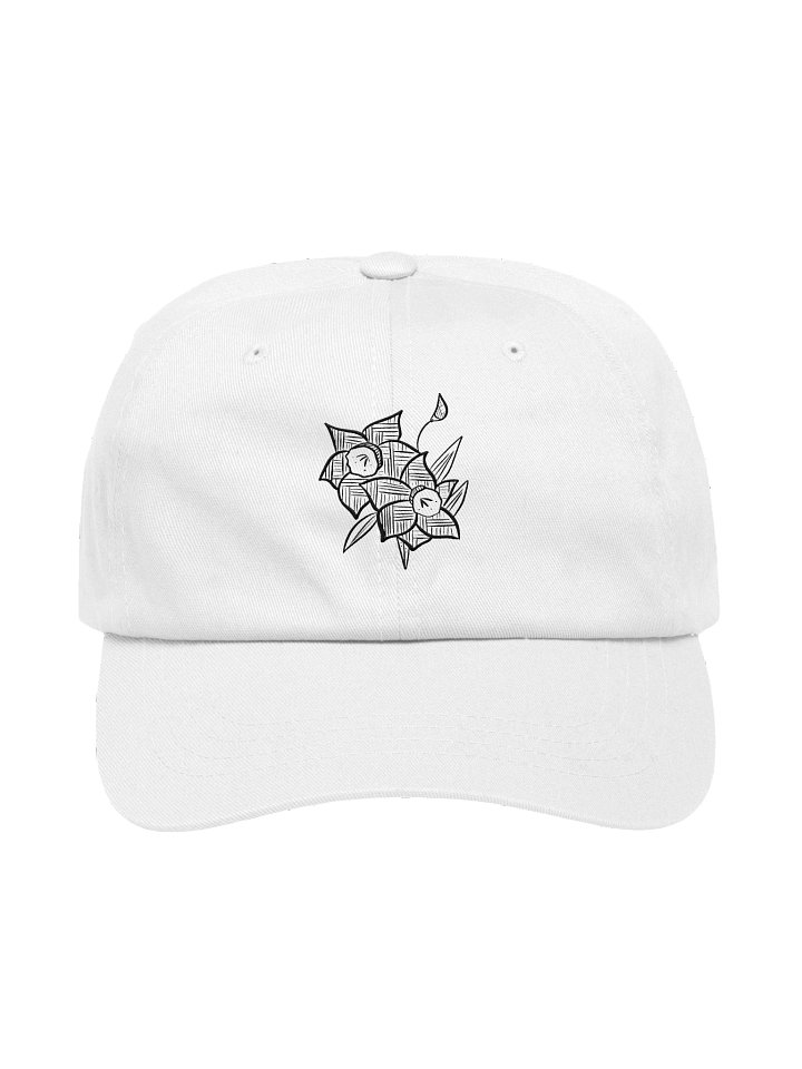 Celtic Embroidered Cap product image (1)