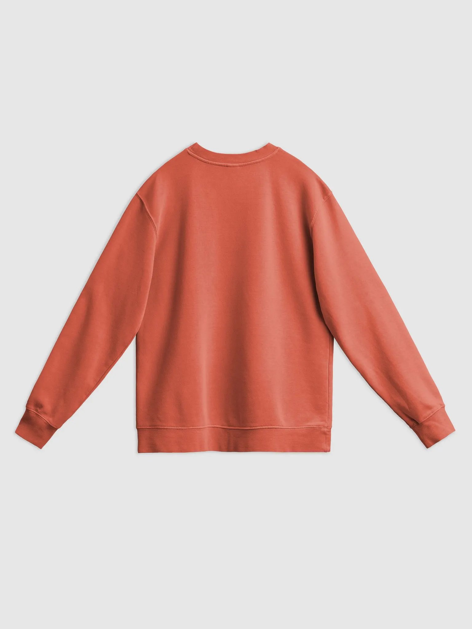 HABITUAL INSTIGATOR (red design) printed pigment crewneck product image (17)