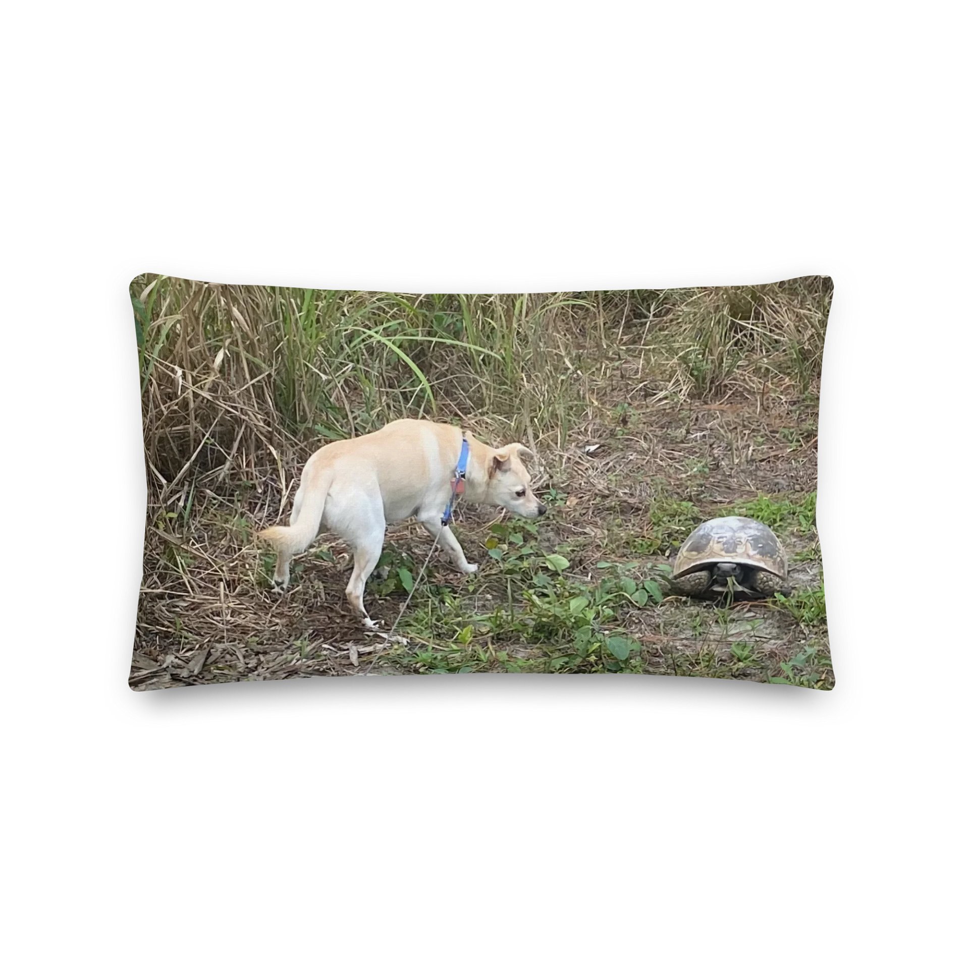 Curious Canine Premium Pillow product image (1)