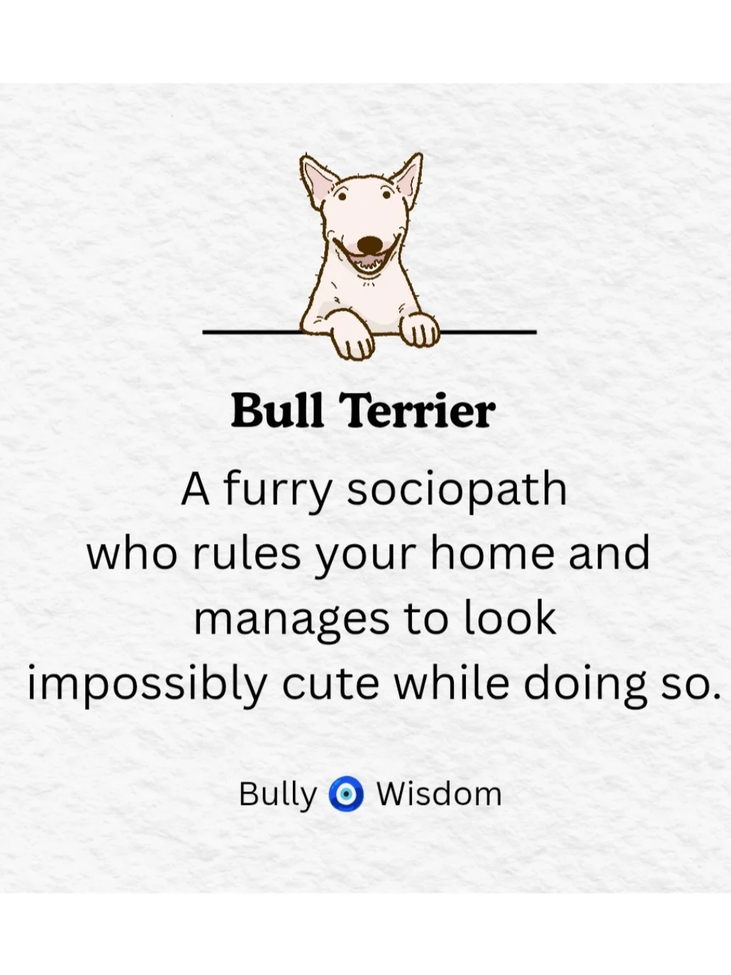 Bull Terrier- Calendar 2026 product image (5)