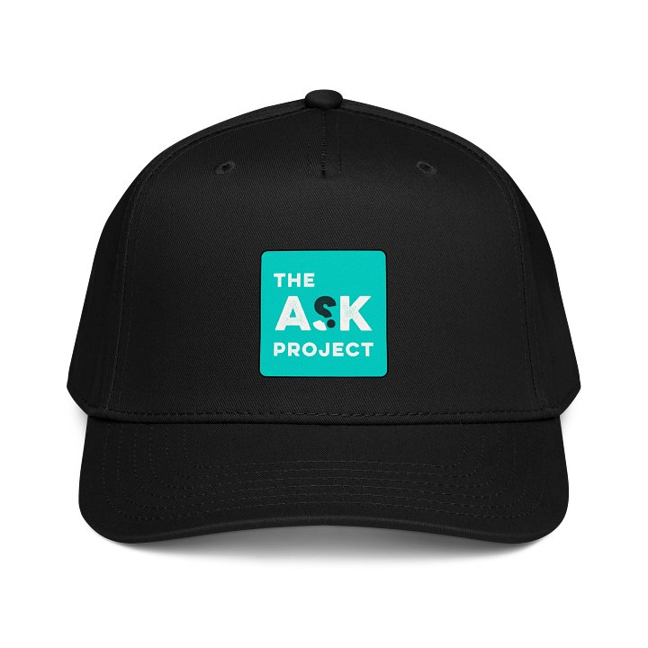 Ask Project hat (printed logo) product image (1)