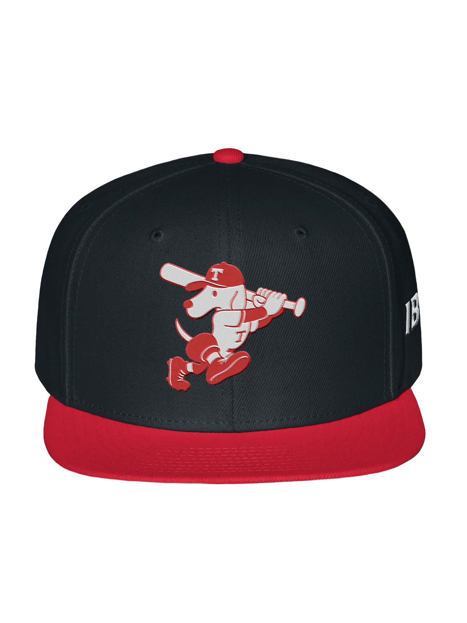 Galt Terriers Legacy Cap product image (1)
